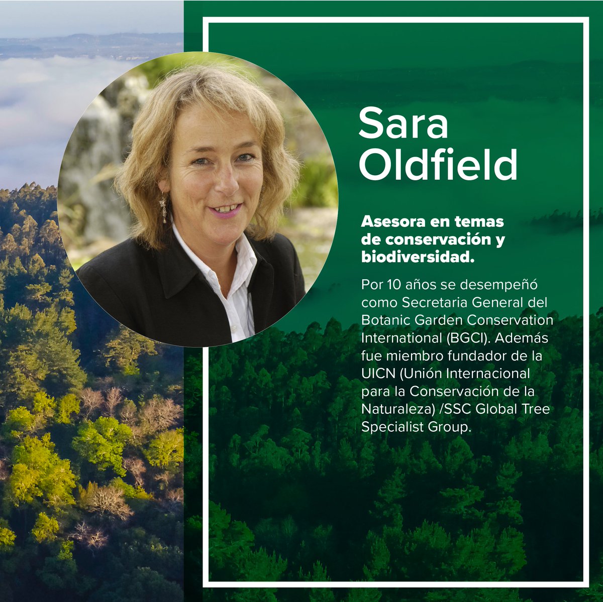CampusNaturalezaUdeC (@campusnaturalez) on Twitter photo 👉Hoy / 17:00pm/ Auditorio <a href="/forestalesudec/">Facultad de Ciencias Forestales 🌳</a> : Sara Oldfield y Kathleen Wolf en charlas para la comunidad
🌿¡Dos miradas únicas sobre naturaleza y bienestar! 🌿
🎧 Actividad gratuita y con traducción simultánea.
¡Te esperamos! 👉Hoy / 17:00pm/ Auditorio <a href="/forestalesudec/">Facultad de Ciencias Forestales 🌳</a> : Sara Oldfield y Kathleen Wolf en charlas para la comunidad
🌿¡Dos miradas únicas sobre naturaleza y bienestar! 🌿
🎧 Actividad gratuita y con traducción simultánea.
¡Te esperamos!