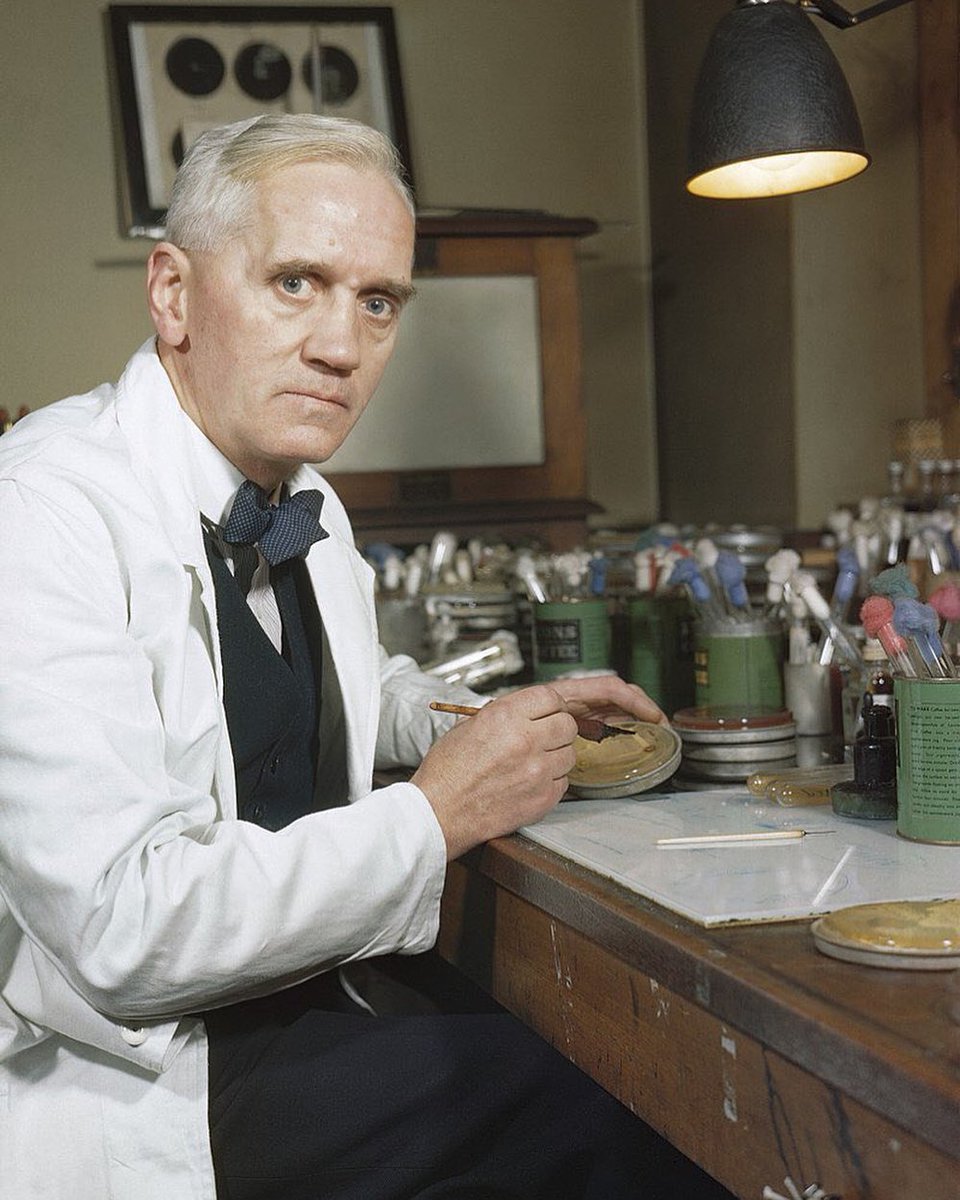 Penicillin was discovered in 1928 by Scottish scientist Alexander Fleming bit.ly/2BbAAe4 #histmed #historyofmedicine #antibiotics #pastmedicalhistory