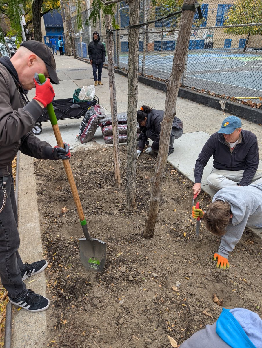 TreesNewYork's tweet image. #YIR2024: 90 #pruning and #stewardship workshops took place in 2024, engaging over 1,100 volunteers who stewarded over 1,000 trees and #pruned 291 trees across all 5 boroughs. This summer we will hire more seasonal staff and care for more #trees!