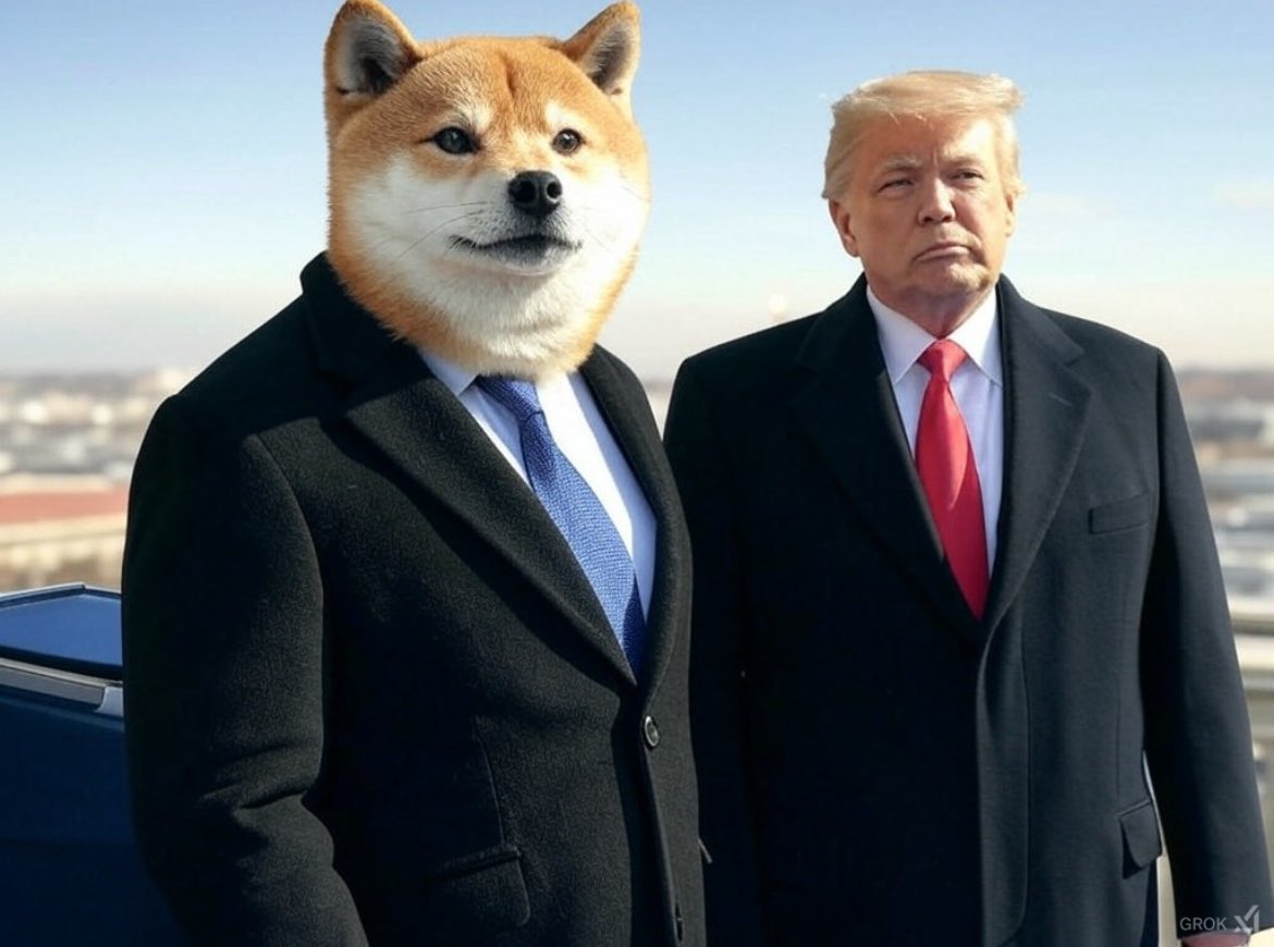 DOGE_On_SUI's tweet image. T-Minus 4 Days 💪

$DOGE on $SUI