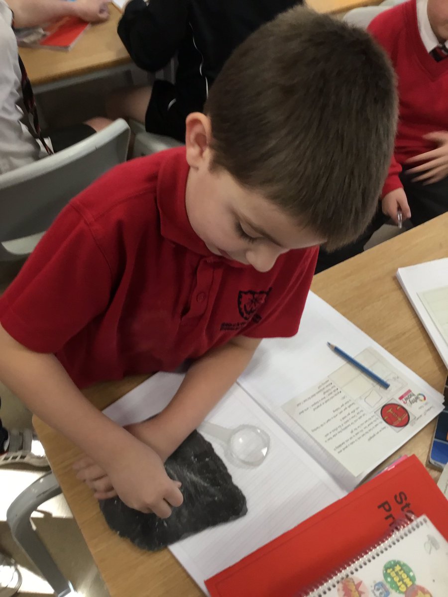Year 3 SHPS tweet media
