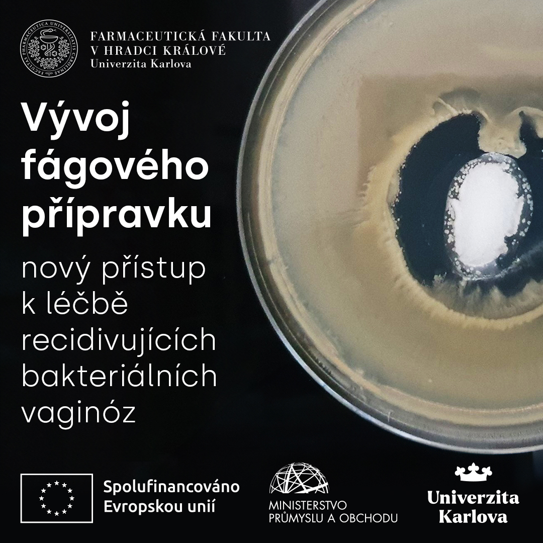 Farmaceutická fakulta UK pracuje na vývoji inovativního antibakteriálního přípravku s obsahem bakteriofágů. Tento lokálně aplikovatelný přípravek je určen k řešení recidivující bakteriální vaginózy.

Více na faf.cuni.cz/Verejnost/Zpra…