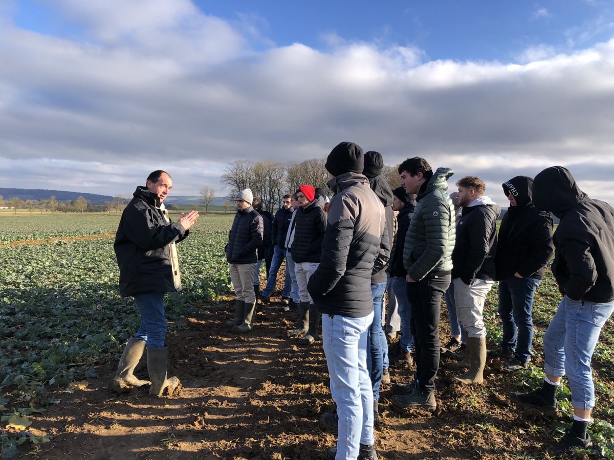Aujourd'hui, accueil sur la station <a href="/terresinovia/">Terres Inovia</a> de Liverdun d'étudiants en BTS du lycée EPL54-Pixerecourt. Présentation de l'institut par <a href="/Clarisse_TI_NE/">Clarisse de Terres Inovia Nord&Est</a> . Avec <a href="/manonguillaume_/">Manon Guillaume-T</a> présentation du métier d'expérimentateur, méthodes, matériels, labo et terrain #ceuxquifontlesessais