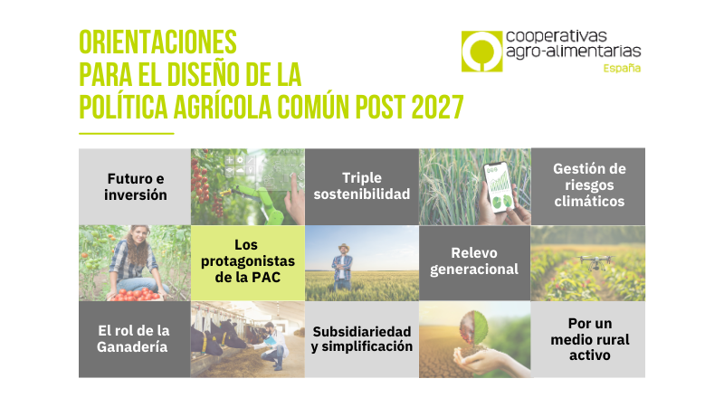 CoopsAgroES's tweet photo. Estas son las orientaciones de #Cooperativas para el diseño de la Política Agrícola Común post 2027 #PAC2027 
El documento completo en ⬇️
https://t.co/fWLYOaY3XI https://t.co/eypulDKESa