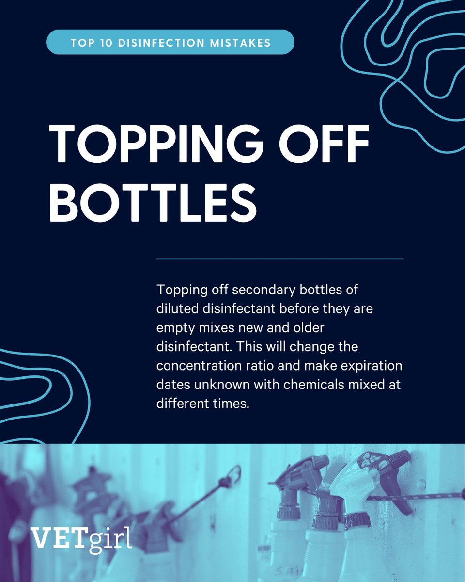 VetGirlOnTheRun's tweet image. 🚫 Top 10 Disinfection Mistakes 🚫 - A FREE Quick Reference Guide from VETgirl

🔗 marketing.vetgirlontherun.com/top-10-disinfe…

#VeterinaryMedicine #Disinfection #VetTech #VETgirl #InfectionControl #AnimalHealth #VeterinaryCE #PetHealth
