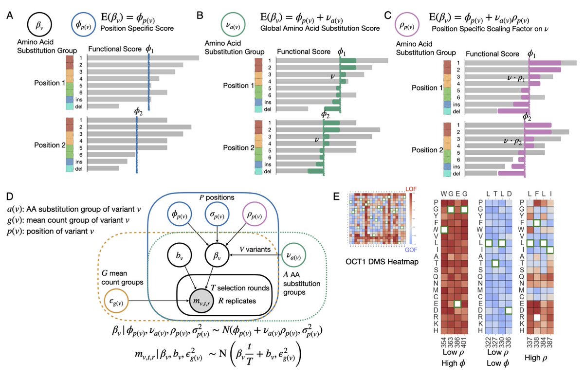 Rosace-AA: Enhancing Interpretation of Deep Mutational Scanning Data with Amino Acid Substitution and Position-Specific Insights

1. Rosace-AA is a framework that improves the interpretation of deep mutational scanning (DMS) data by incorporating both position-specific and amino