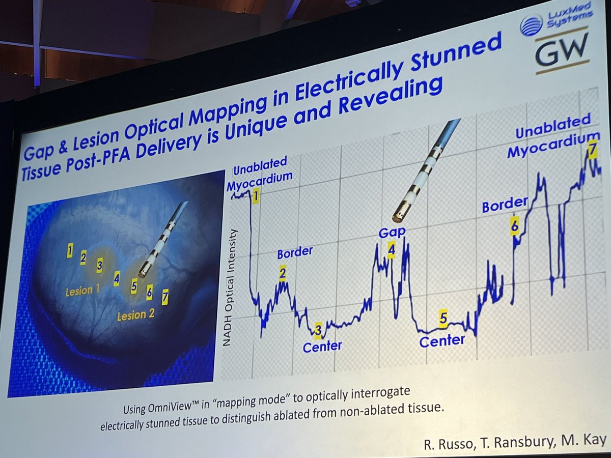 MoussaMansour10's tweet photo. Pulsed Field Ablation with Integrated Metabolic Feedback for Lesion Assessment and Gap Mapping (LuxMed Systems) - Dr. Timothy Maher #AFsymposium2025 https://t.co/UrYtoksONr