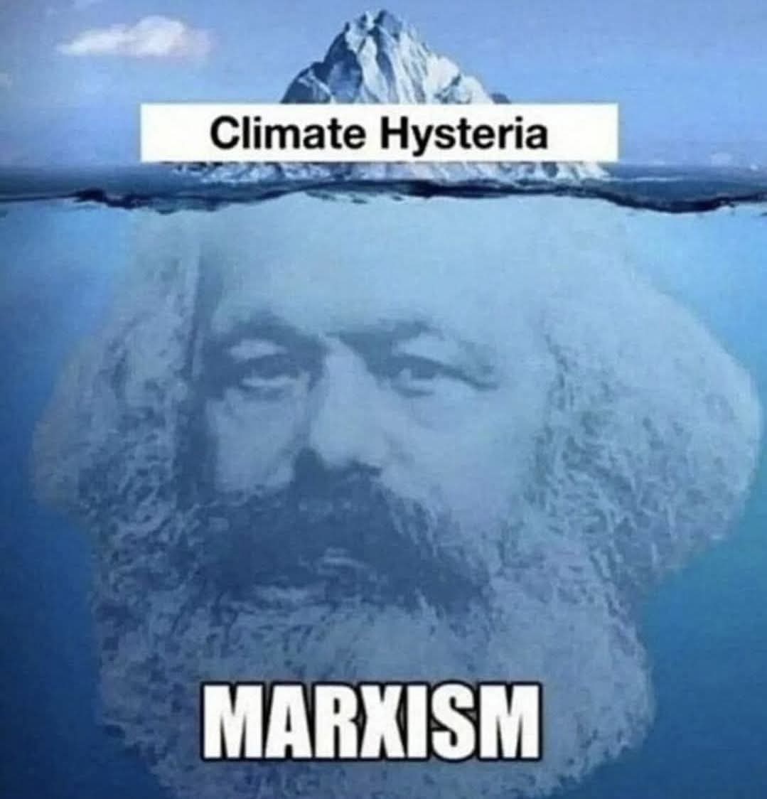 JackieKirkham8's tweet image. #netzeroscam