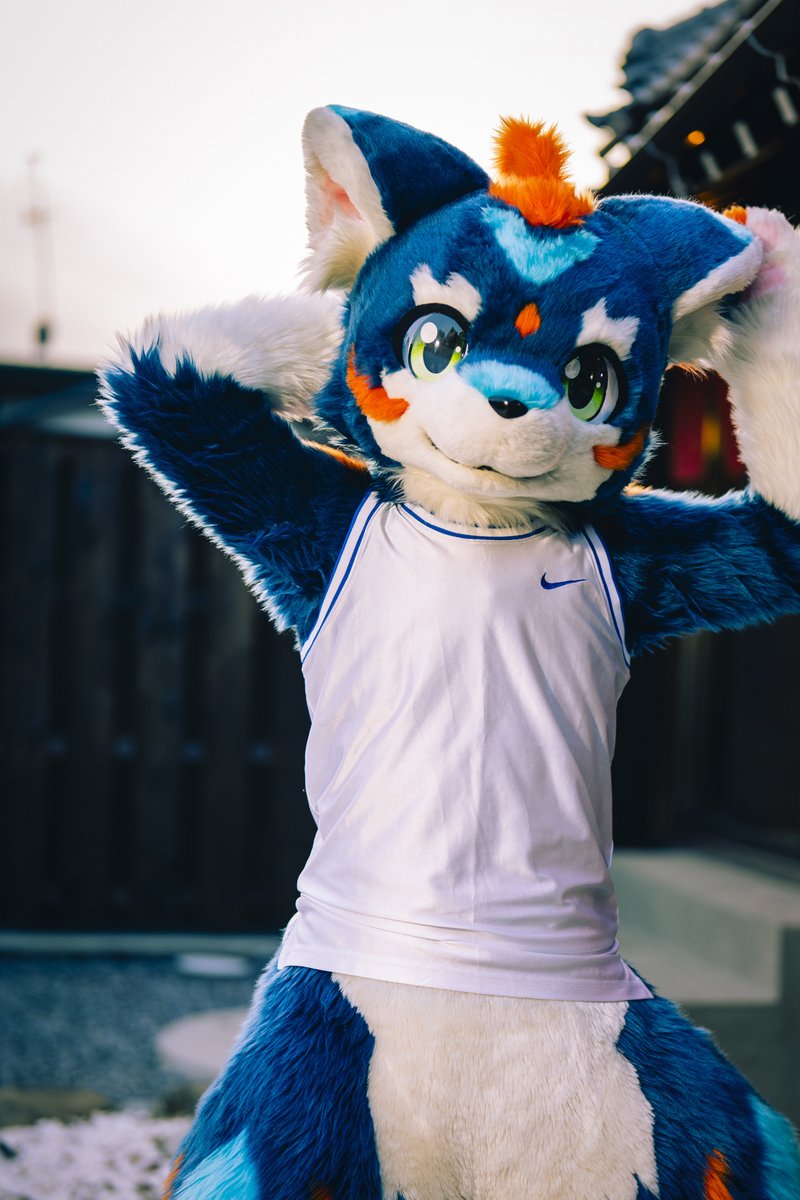 あお丸 (@aomaru21) on Twitter photo 