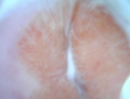 福利姬爆炒小鱿鱼分享的黄推图片2 - 网红私拍内容