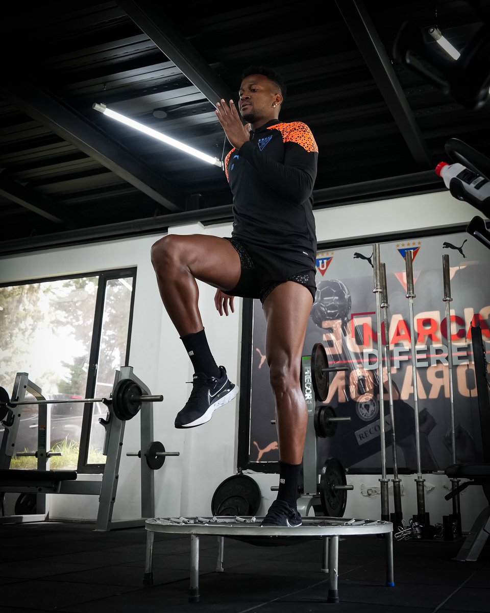 LDU Oficial tweet media