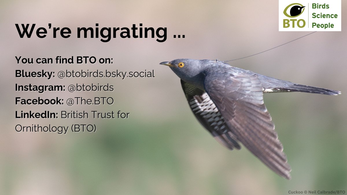 _BTO's tweet image. To continue to see updates from BTO, follow us on the accounts below. ⬇️🐦 #Ornithology #Birds
