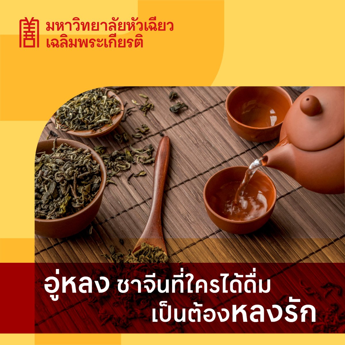 อู่หลง ชาจีนที่ใครได้ดื่มเป็นต้องหลงรัก

ชาอู่หลง เป็นชาจีนที่ได้รับความนิยมอย่างมากทั้งในจีนและทั่วโลก โดยมีเอกลักษณ์เฉพาะตัวที่อยู่ระหว่างชาเขียวและชาดำ มีความสดชื่นของชาเขียวและความกลมกล่อมของชาดำ จึงมีรสชาติที่ซับซ้อนและหลากหลาย มีทั้งรสหอมกลิ่นดอกไม้ หรือรสคั่วแบบเข้ม
ชาอู่หลงมีสารสำคัญที่ช่วยส่งเสริมสุขภาพ เช่น สารต้านอนุมูลอิสระ และสารโพลีฟีนอลที่ช่วยในการลดน้ำหนัก ช่วยลดระดับคอเลสเตอรอลและความดันโลหิต ควบคุมระดับน้ำตาลในเลือด ซึ่งดีสำหรับผู้ป่วยเบาหวาน มีกรดอะมิโน L-theanine ที่ช่วยลดความเครียดและเสริมสมาธิ
สามารถดื่มได้ทั้งแบบร้อนและเย็น ใช้ผสมในสูตรเครื่องดื่ม เช่น ชานมอู่หลง หรือใส่ผลไม้เพื่อเพิ่มรสชาติ

สำหรับท่านที่สนใจเพิ่มเติมความรู้เกี่ยวกับสมุนไพร สามารถสืบค้นข้อมูลได้ที่ ศูนย์ข้อมูลสมุนไพรไทย-จีน
แหล่งสืบค้นข้อมูลสมุนไพร และองค์ความรู้ด้านพฤกษศาสตร์ ด้านการแพทย์แผนไทย การแพทย์แผนจีน ด้านเภสัชวิทยาและด้านพาณิชย์ รวบรวมองค์ความรู้พื้นฐานตามศาสตร์การแพทย์แผนจีน ตำรับยาจีน การดูแลสุขภาพแบบจีน โทร. 02-713-8100 ต่อ 1215