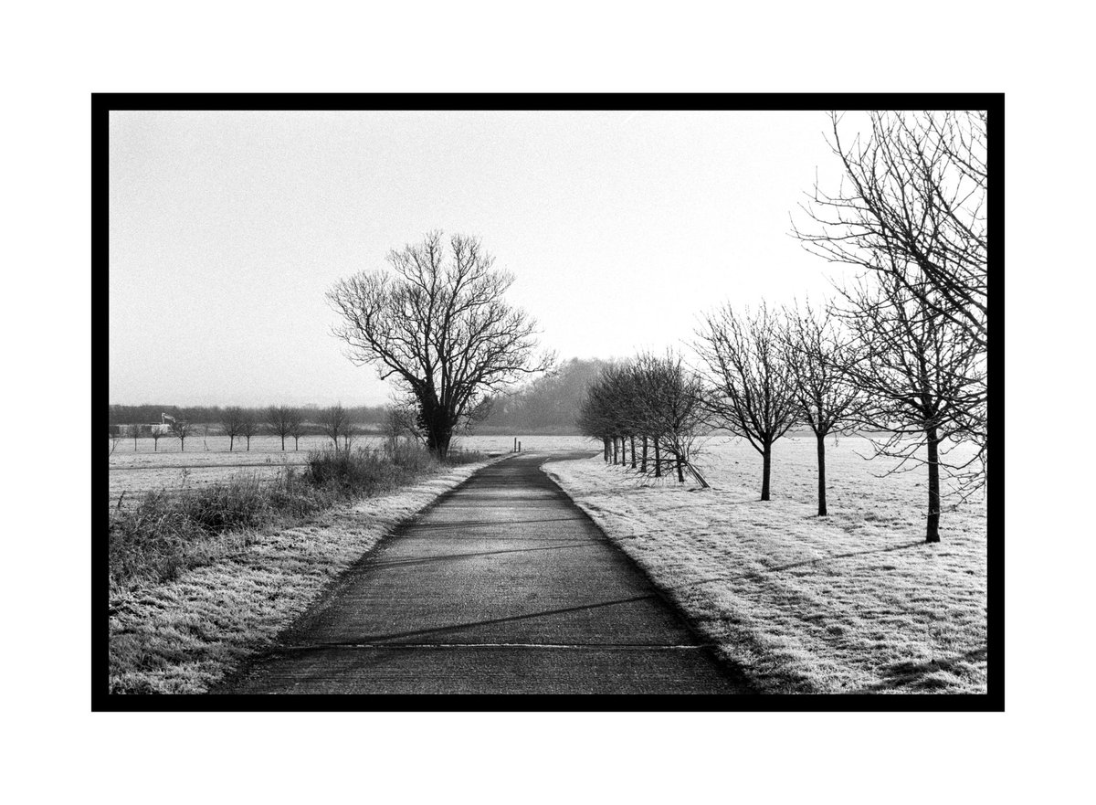 Crisp morning #believeinfilm