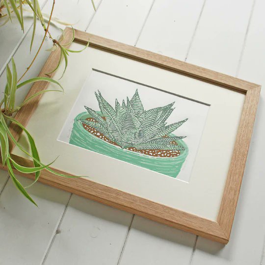 littleramstudio's tweet photo. Just added a couple more of Heather's Haworthia prints if anyone is after an everlasting plant.
Limited edition linocut print supplied ready for framing, find it in our lovely little online art shop here> https://t.co/EbU92NKiVY
If you've a free minute do have a wander. https://t.co/pPH5zGIfXo