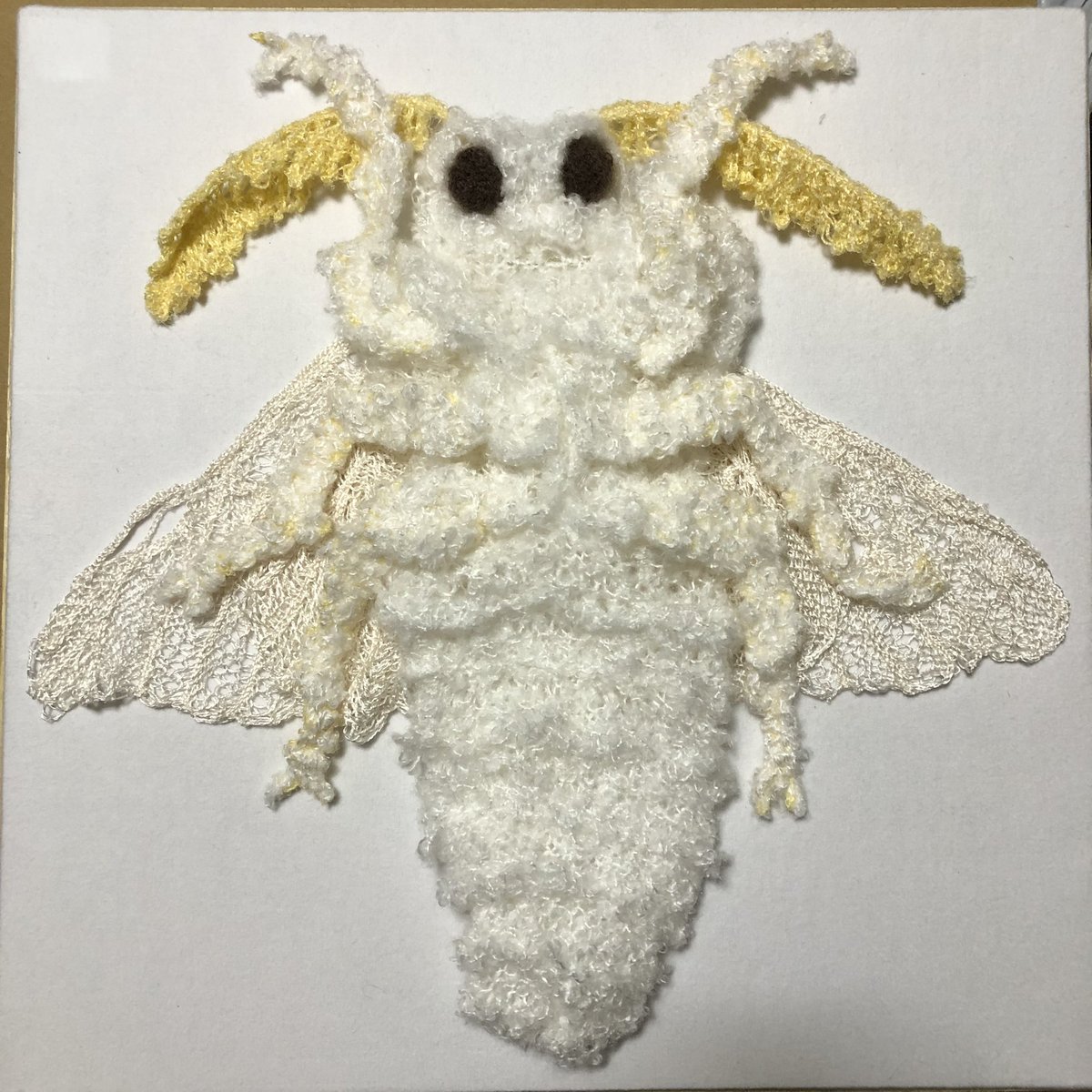96numayu's tweet photo. 蚕さま　Bombyx mori  絹糸　silk dorsal,ventral https://t.co/mZOiM9Wuka