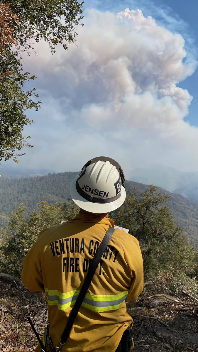 Butterfly Effect Communications tweet media