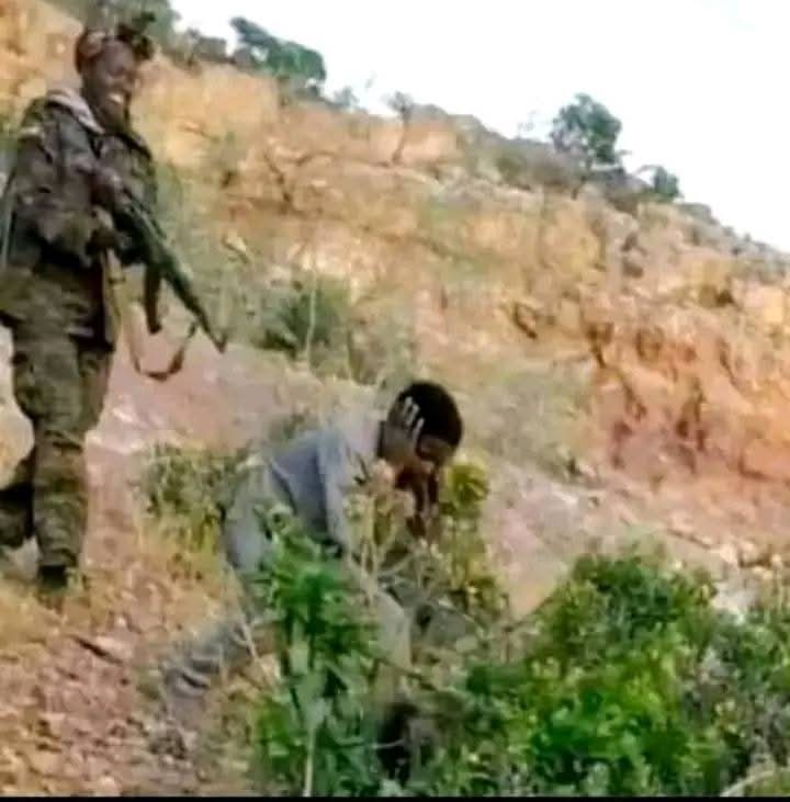 FreeMyTigray11's tweet image. In the face of genocide, forgiveness is betrayal memory is resistance.

Lest you forget, Tigray!!
#MahbereDegoMassacre in #TigrayGenocide