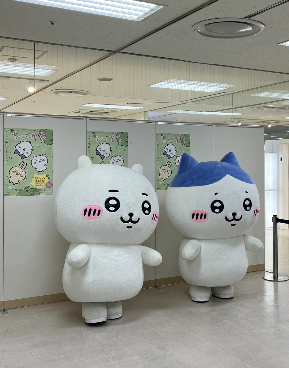 ちい★　ニュースキン製品 chiikawajemrees01.jpg