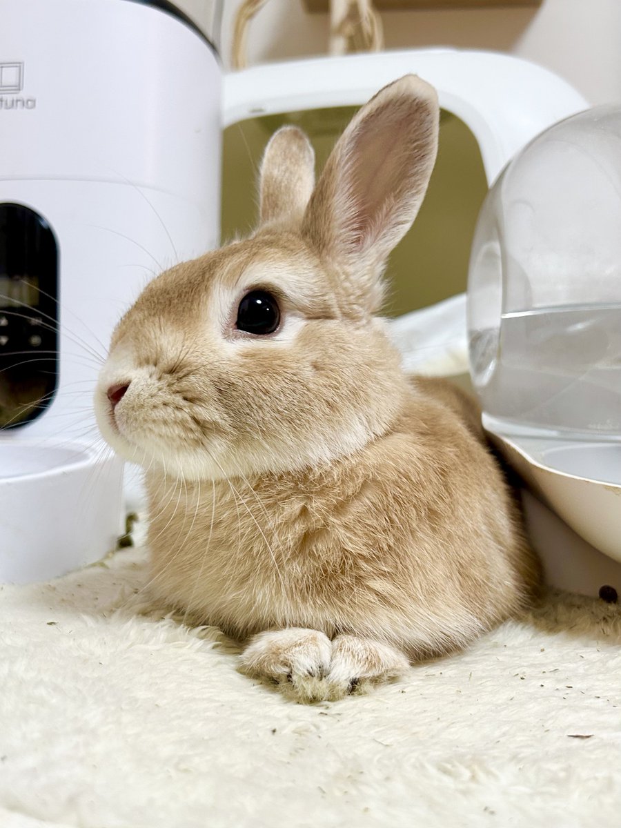 この狭さがちょうどいいらしい