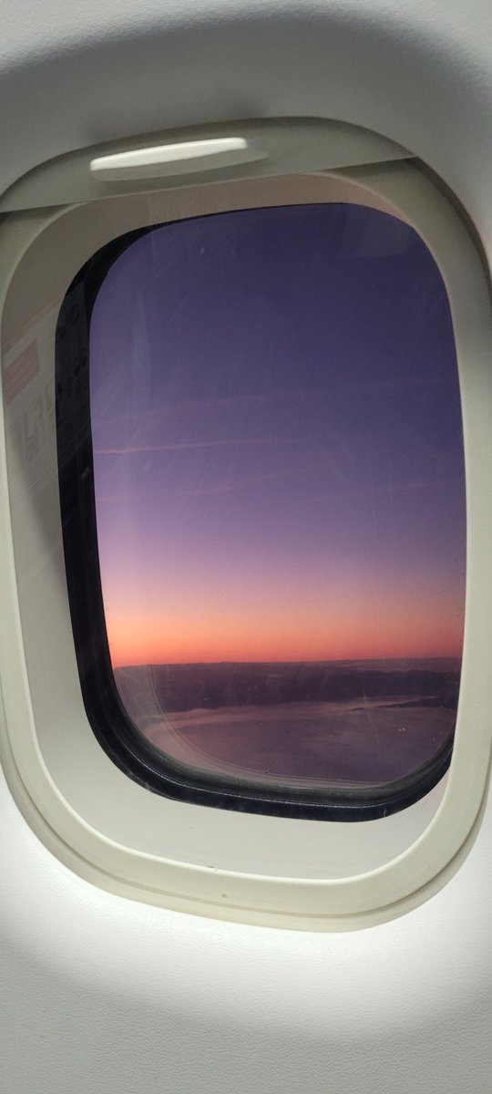 Sadhbh O'Shea tweet media