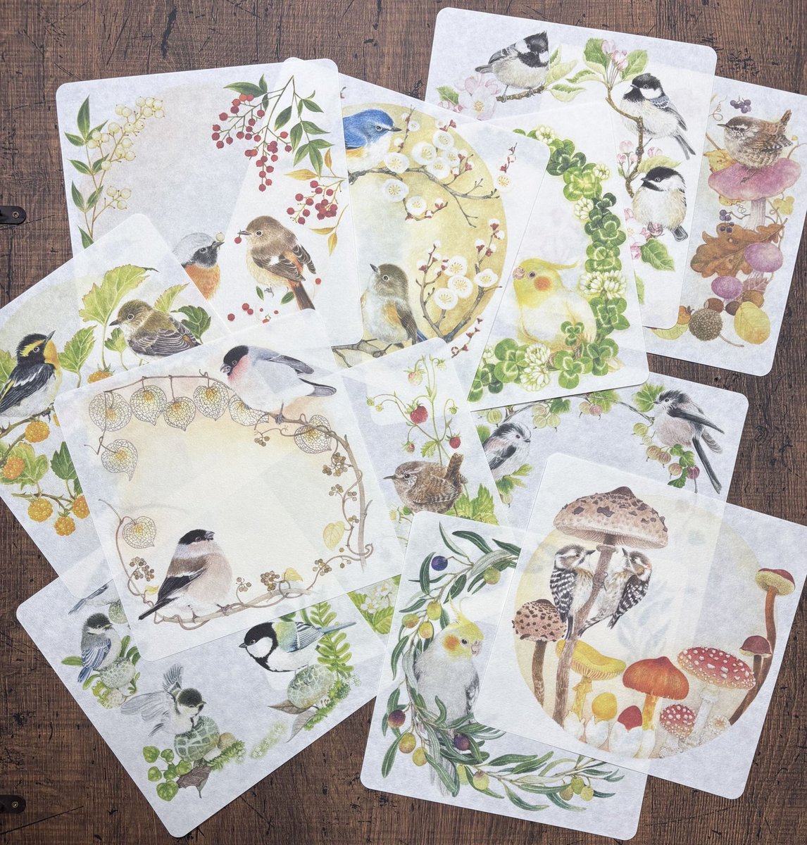 #鳥フェス浅草
 
小鳥たちの便箋『小鳥文』
今週末の鳥フェス浅草で
お手に取ってみてください。

《鳥フェス浅草》
1月18日(土)12:00〜17:00
1月19日(日)10:00〜15:00
東京都立産業貿易センター
台東館6・7階
とりのこ事務所は7階😊

#鳥フェス浅草 
#とりのこ事務所