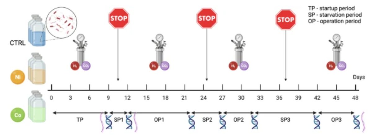 stefano campanaro (@campanarostef) on Twitter photo New paper out! "Impact of trace metal supplementation on anaerobic biological methanation under hydrogen and carbon dioxide starvation" <a href="/Nature_NPJ/">npj Journals</a> - Kudos to <a href="/GabrieleGhiotto/">Gabriele Ghiotto</a> and <a href="/LauraTreu/">Laura Treu</a> doi.org/10.1038/s41522… <a href="/DiBio_UniPD/">Department of Biology – University of Padova</a> thanks to <a href="/LIFE_CO2toCH4/">LIFE CO2toCH4</a> for the financial support New paper out! "Impact of trace metal supplementation on anaerobic biological methanation under hydrogen and carbon dioxide starvation" <a href="/Nature_NPJ/">npj Journals</a> - Kudos to <a href="/GabrieleGhiotto/">Gabriele Ghiotto</a> and <a href="/LauraTreu/">Laura Treu</a> doi.org/10.1038/s41522… <a href="/DiBio_UniPD/">Department of Biology – University of Padova</a> thanks to <a href="/LIFE_CO2toCH4/">LIFE CO2toCH4</a> for the financial support