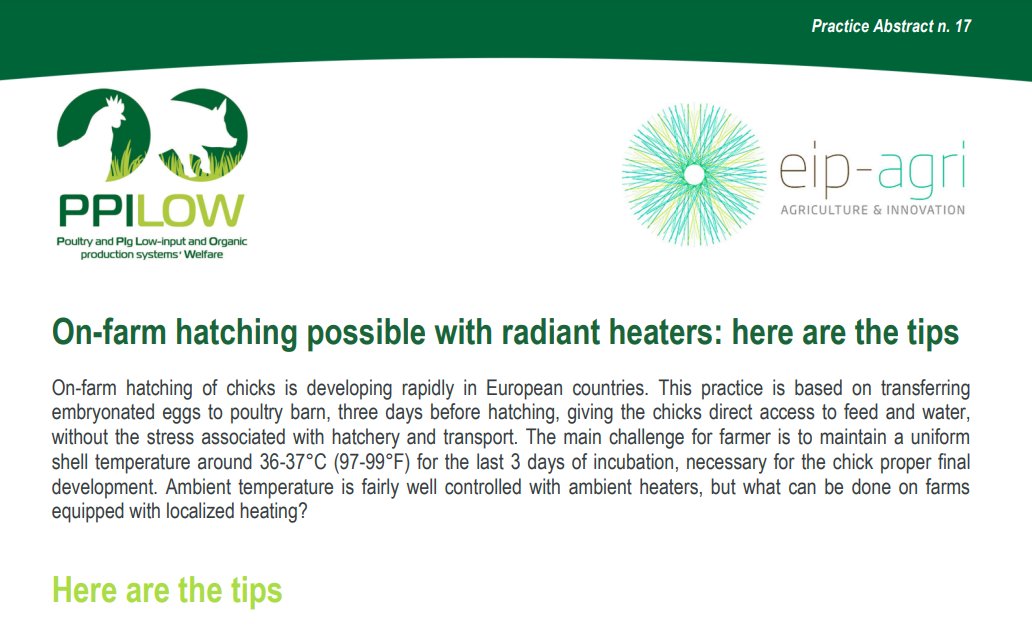 PPILOW project presents the 17th Practice Abstract (PA17): “On-farm hatching possible with radiant heaters: here are the tips”🐔🥚

Read it here👉 ppilow.eu/wp-content/upl…