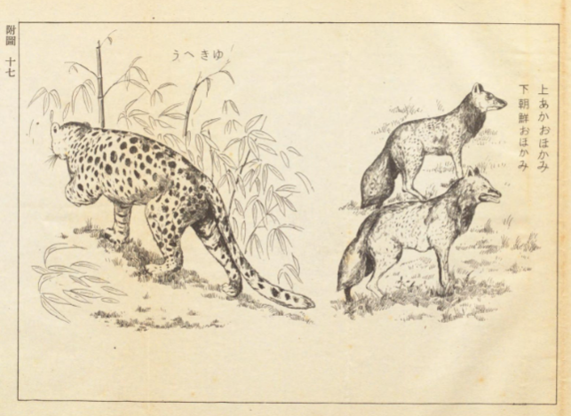 zelda_cal's tweet photo. 他の動物

[参謀本部] [編]『[支那ニ於ケル有害(毒)動植物]』,[参謀本部],[1940]. 国立国会図書館デジタルコレクション https://t.co/FYy2vACXX3 (参照 2025-01-16) https://t.co/eSoqG0hIiv
