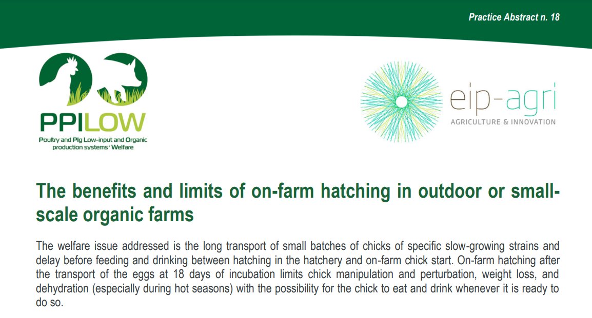 PPILOW project presents the 18th Practice Abstract (PA18): “The benefits and limits of on-farm hatching in outdoor or smallscale organic farms”🌿🥚

Read it here👉 ppilow.eu/wp-content/upl…