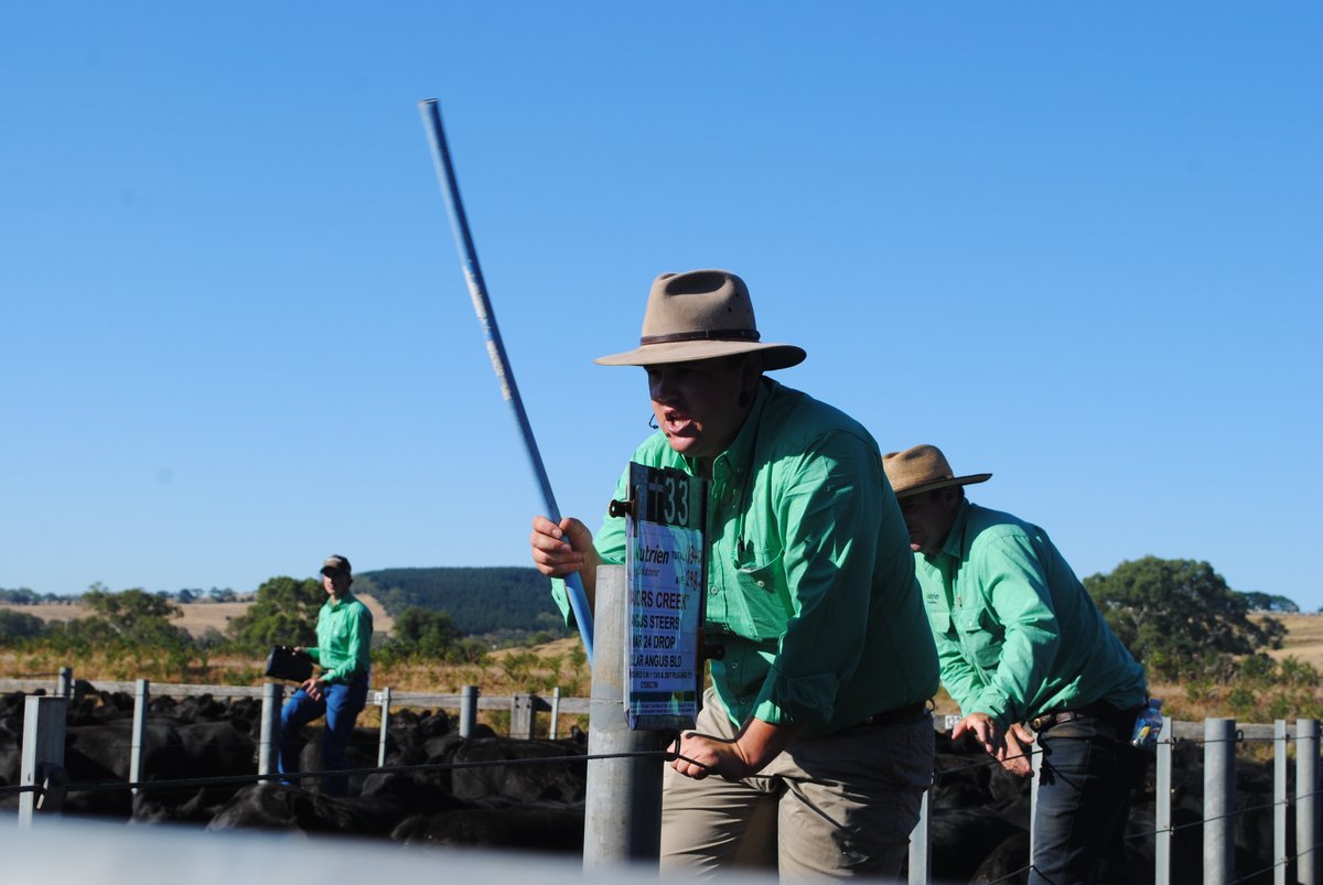 Barry Murphy tweet media