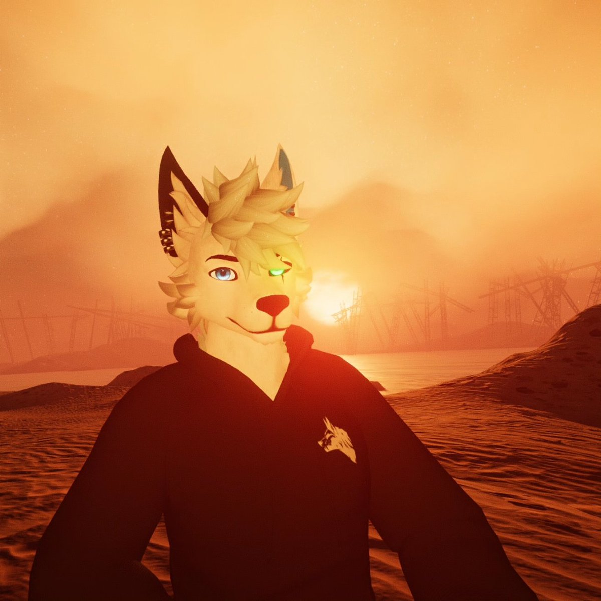 En ce moment je fais beaucoup de map vrchat juste pour leurs beautés incroyable.

PS : La photo a été prise il y a longtemps 😂 mais je la repost ici au cas où :P

#furry #vrchat #furryfr