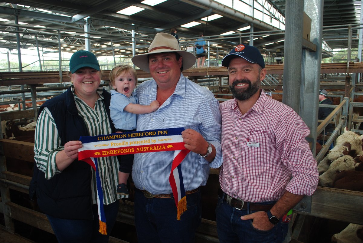 A big week of weaner/weanling sales in Victoria's western district with buyers from all parts of Australia snapping up cattle. 10 month old steers trading either side of $4.00/kg (€2.40/kg), best to $4.50/kg. See our full <a href="/stockandland/">Stock & Land</a> coverage: shorturl.at/xirsu