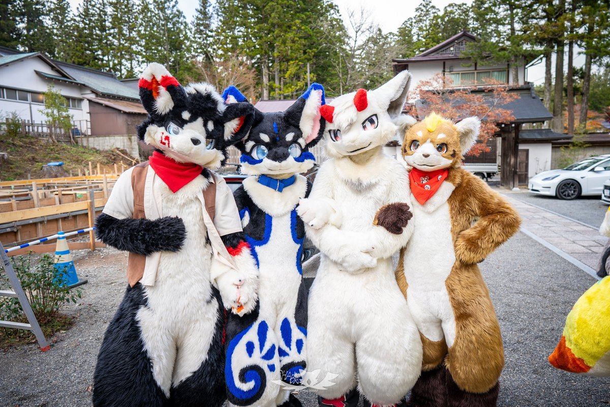 Lapyu🔜UTFG (@chlclgns11_) on Twitter photo 🥰🥰🥰🥰
<a href="/furry_furei/">弗岚_furei</a>
<a href="/FurryTsuha/">梓夏🐾Tsuha🐾ツハ🔜得闲兽聚➡️SFF</a>
<a href="/hinekota/">ネコタ@NEKOTA➡SFF</a>
📷:<a href="/MayT0602/">May (Chaba🦉) 🔜UTFG</a>
#FursuitEveryday #Fursuit 🥰🥰🥰🥰
<a href="/furry_furei/">弗岚_furei</a>
<a href="/FurryTsuha/">梓夏🐾Tsuha🐾ツハ🔜得闲兽聚➡️SFF</a>
<a href="/hinekota/">ネコタ@NEKOTA➡SFF</a>
📷:<a href="/MayT0602/">May (Chaba🦉) 🔜UTFG</a>
#FursuitEveryday #Fursuit