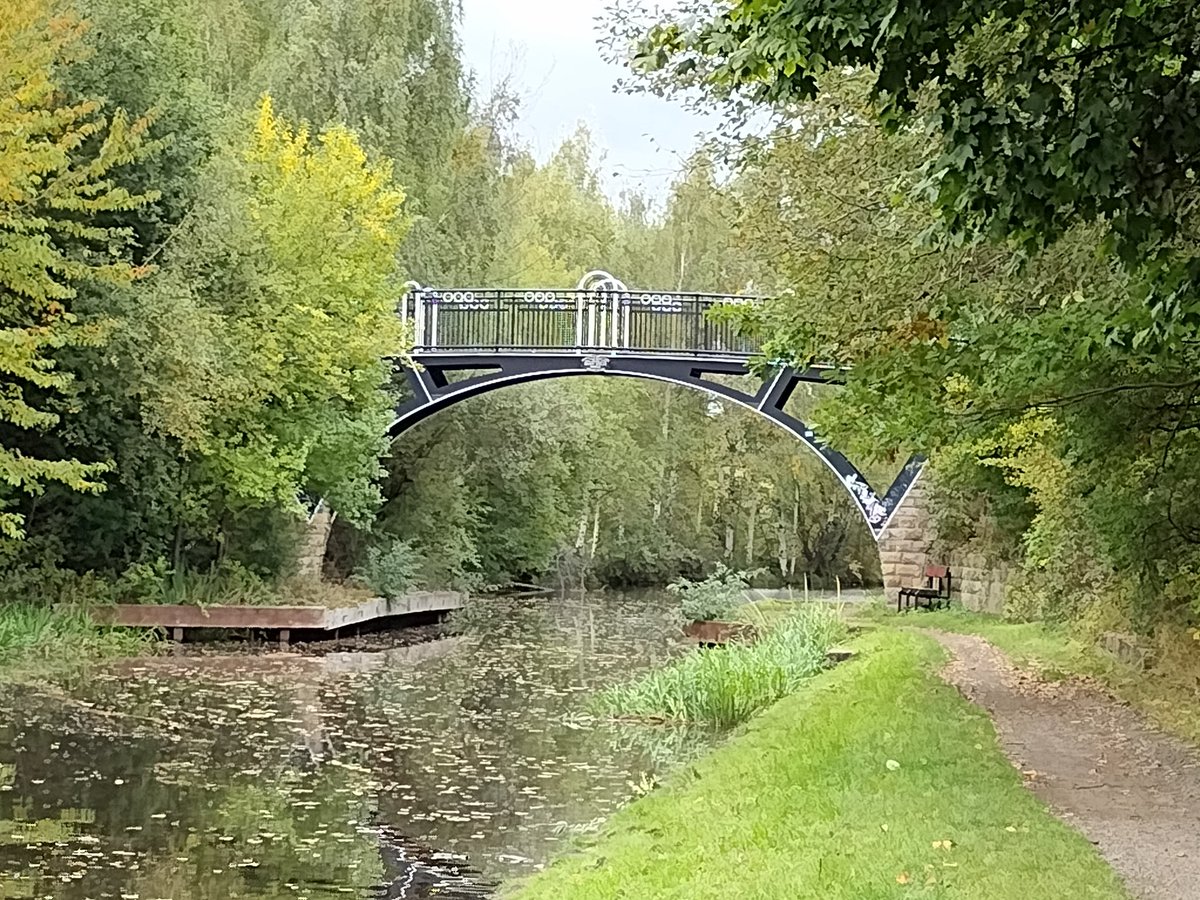 Christo70300025's tweet image. #bridgeapreciation #arcitecture,#nature😊💚🌲🌱🌳