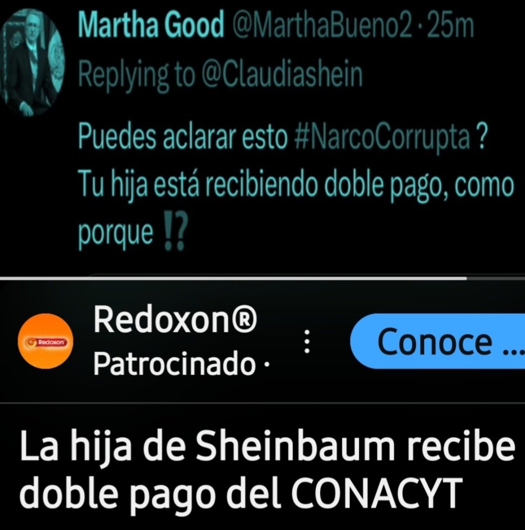 n_shwam's tweet photo. @_ElAbogato_ @Claudiashein @realDonaldTrump Guerrilleros, mitoteras. Claro que sí se puede vivir bien sin trabajar.  Oportunistas. https://t.co/0zgqdhsyRP
