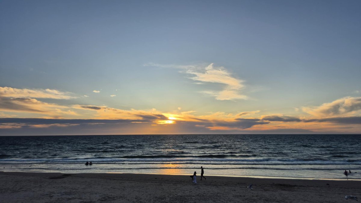 BladeNZ 🥝 ✈️ 🇹🇼 tweet media