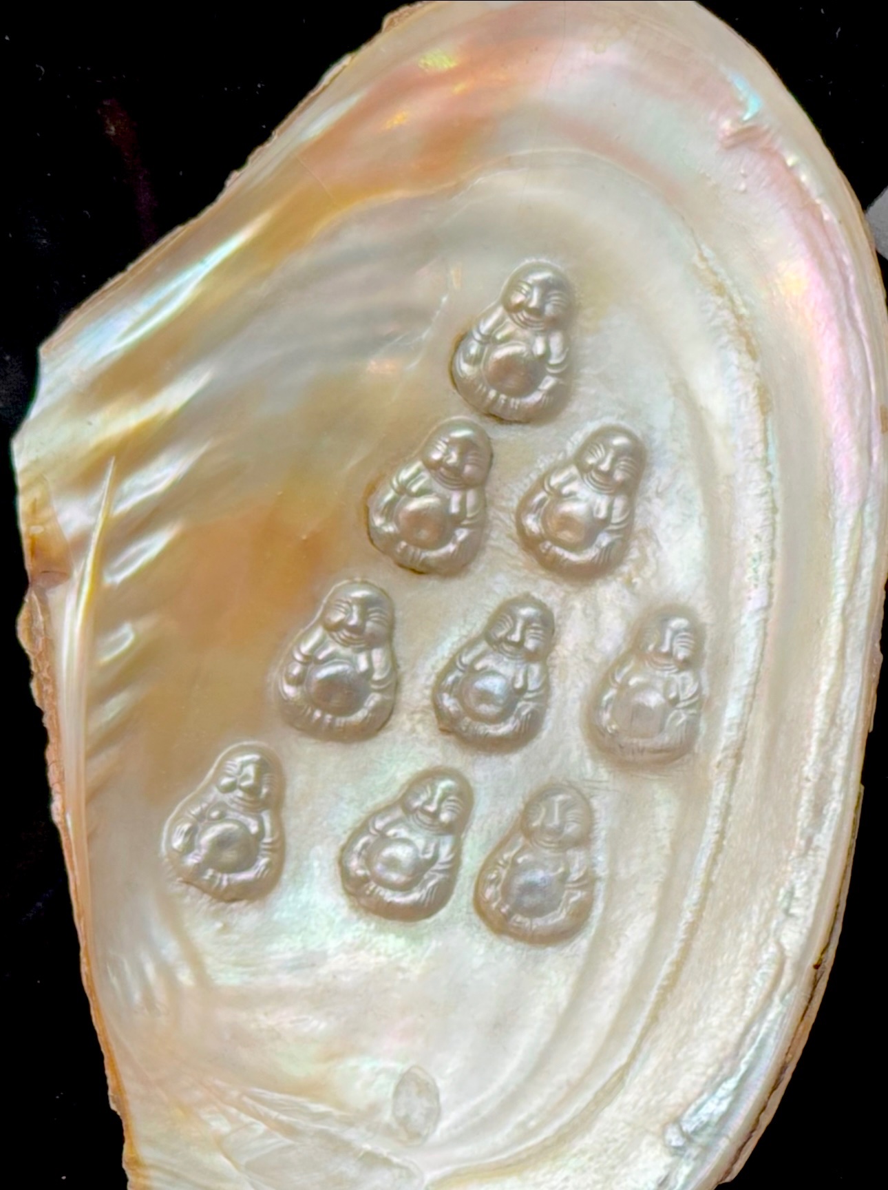仏像真珠（Buddha Pearl）