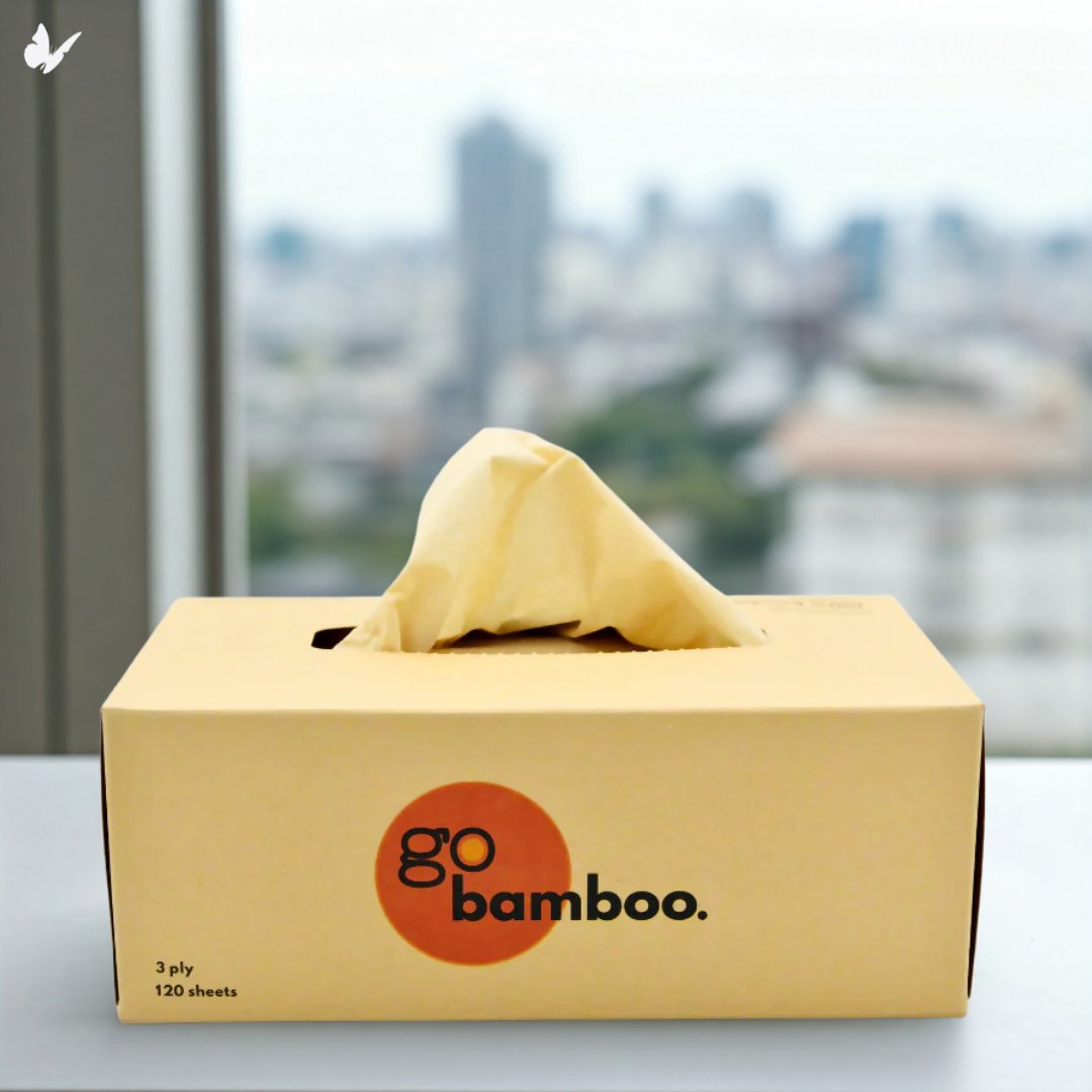 EvolveBio's tweet photo. Comfort meets sustainability with our 3-Ply Bamboo Facial Tissues! Ultra-soft, unbleached, and perfect for sensitive skin. Locally made and eco-friendly๐ฟ
Get yours here: https://t.co/bo8pMlU3ag
#evolvebiodegradable #facialtissues #tissues #bambootissues #bamboo https://t.co/CXmHWN1kOR