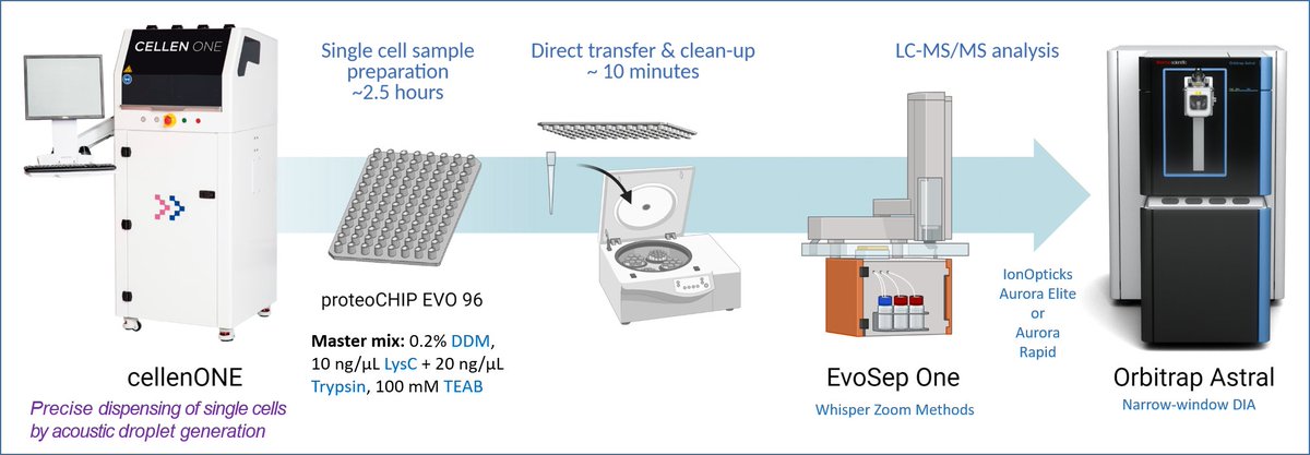 We are excited to share our new Nature Methods paper describing the Chip-Tip workflow for single-cell proteomics identifying &gt;5,000 proteins in single cells, enabling PTM analysis without enrichment and throughput of up to 120 single cell samples per day: rdcu.be/d6qJe