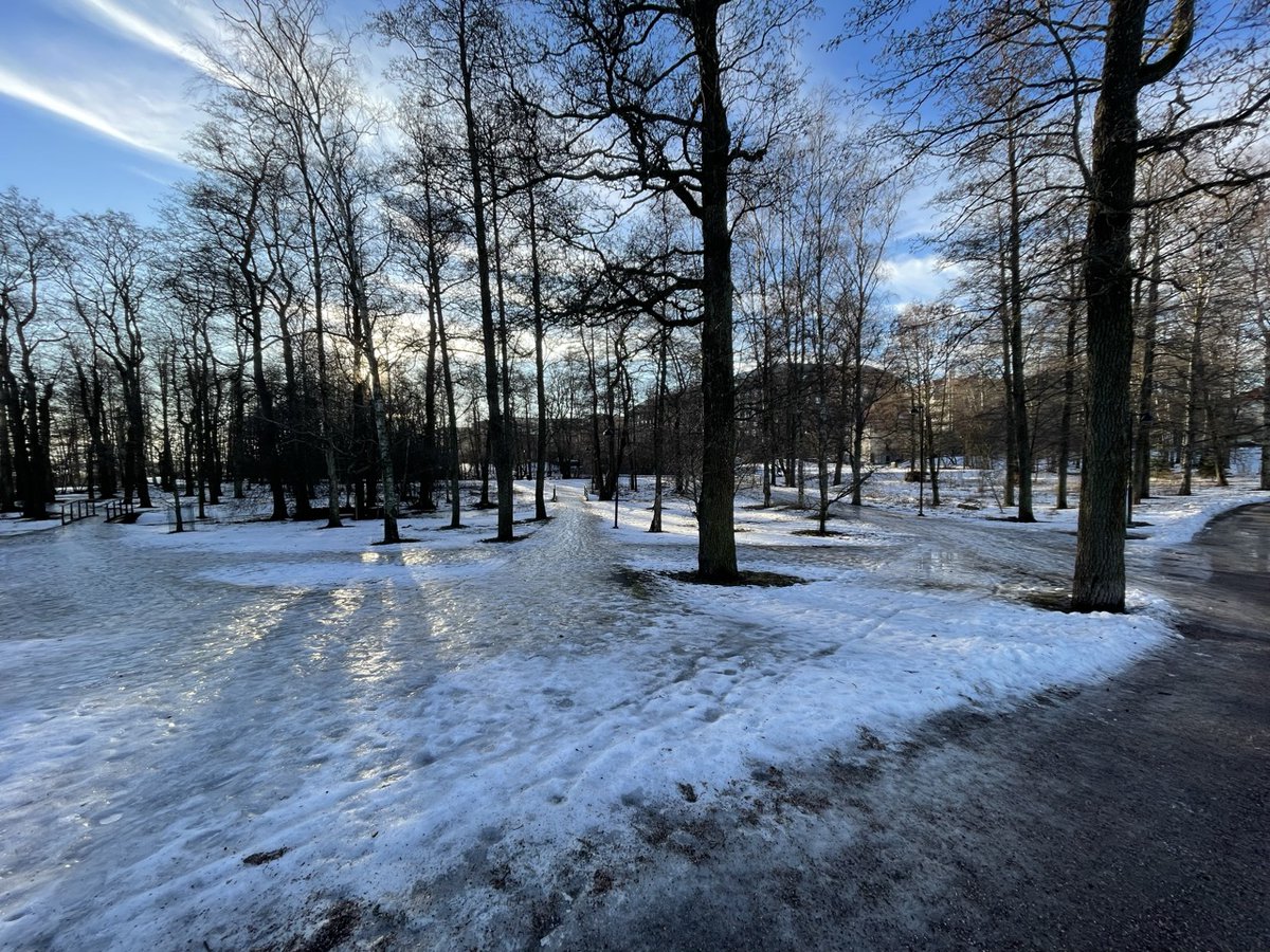 Aapo Rista tweet media