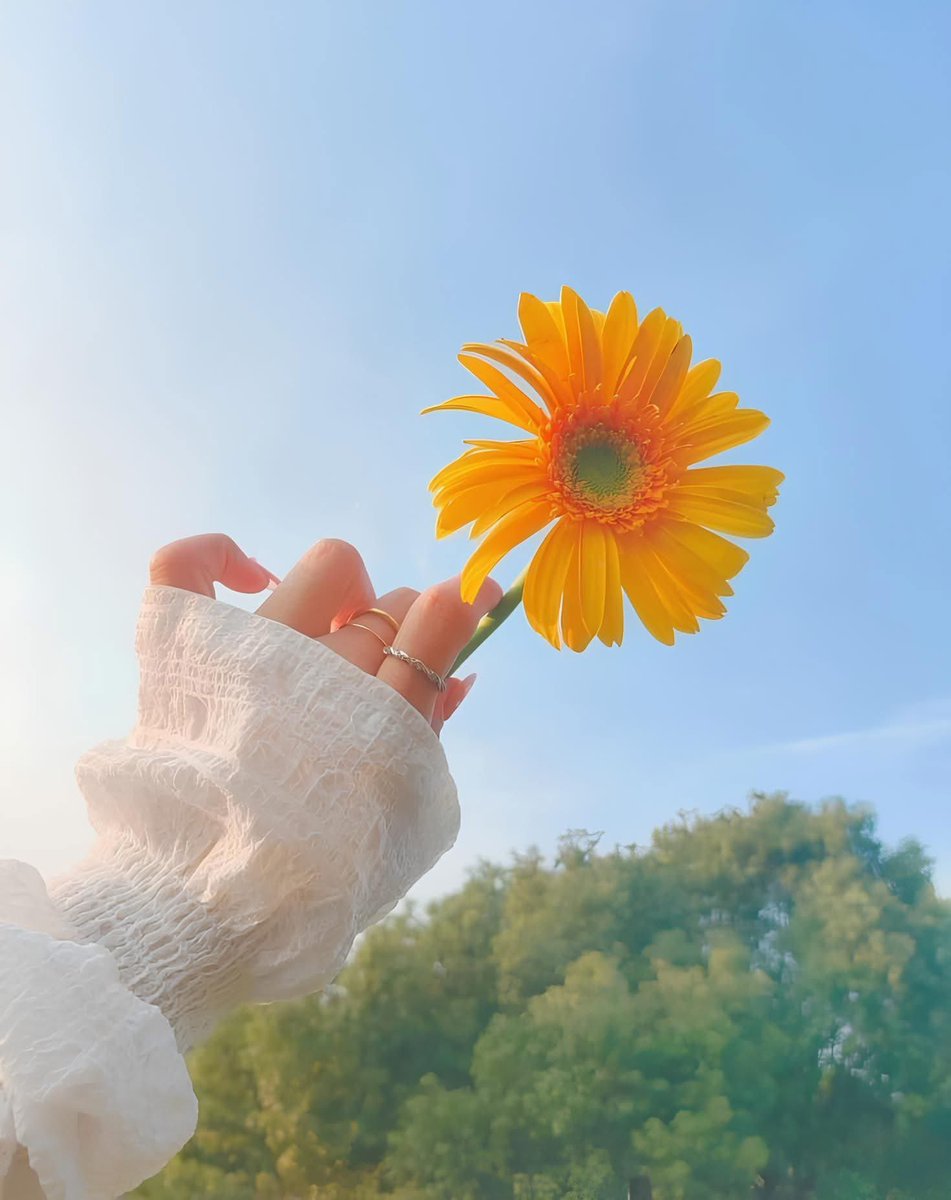 nouralkatebm's tweet image. تستاهل ولا ماتستاهلش ..
انا هكي ولا هكي متربية على العز و جبر الخاطر و حب الخير و نيتي اتجاه الكل صااااافية 🤍🫀
و قلة الاصل و الكره و الحقد والغيرة و  الخبث مش في قاموسي أبداً 
ومش قاعدة نبررلك ولا نأكدلك، و لكن هاذي خليها في بالك بس 🧠.

#NOUR🧡