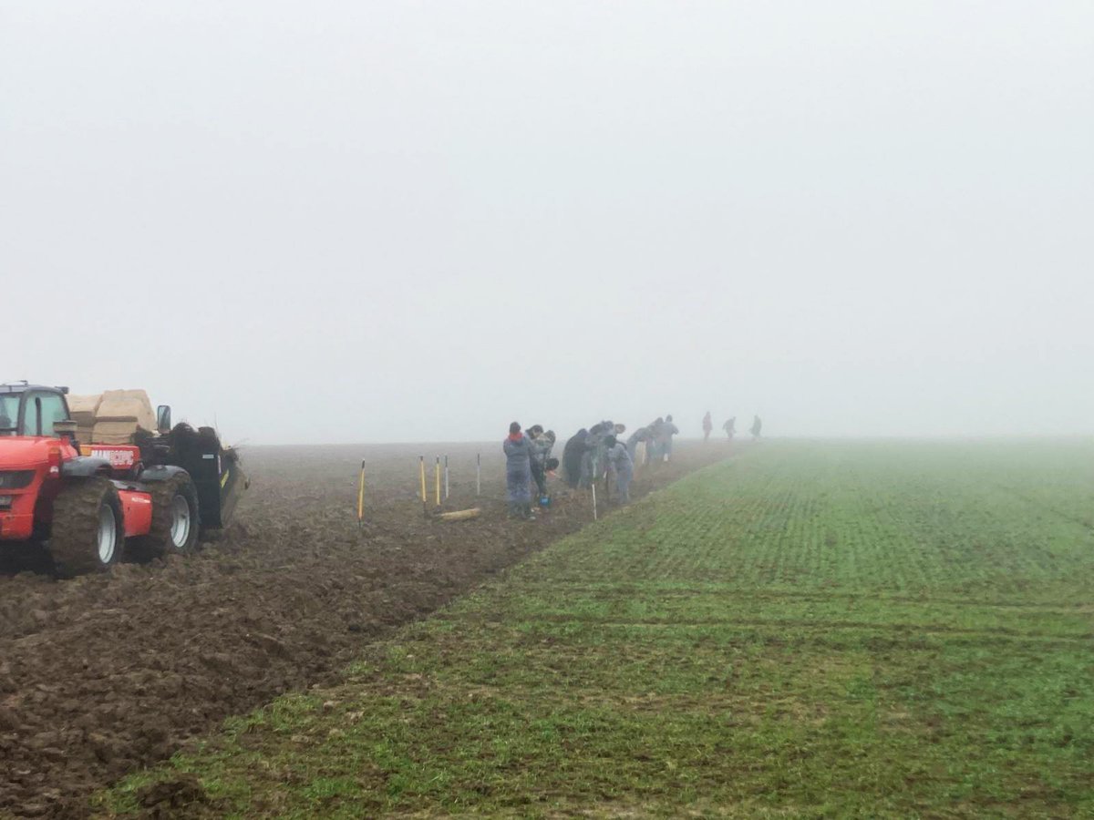 ATerlynck's tweet image. 🚧 Chantier d&apos;insertion en cours 🚧
💚280 mètres linéaires de haies plantés pour préserver la biodiversité, limiter l&apos;érosion de nos sols &amp;amp; stocker du carbone.
🐞🤲🏼 Une belle manière de conjuguer insertion professionnelle, engagement écologique et innovation agricole. 
#durable