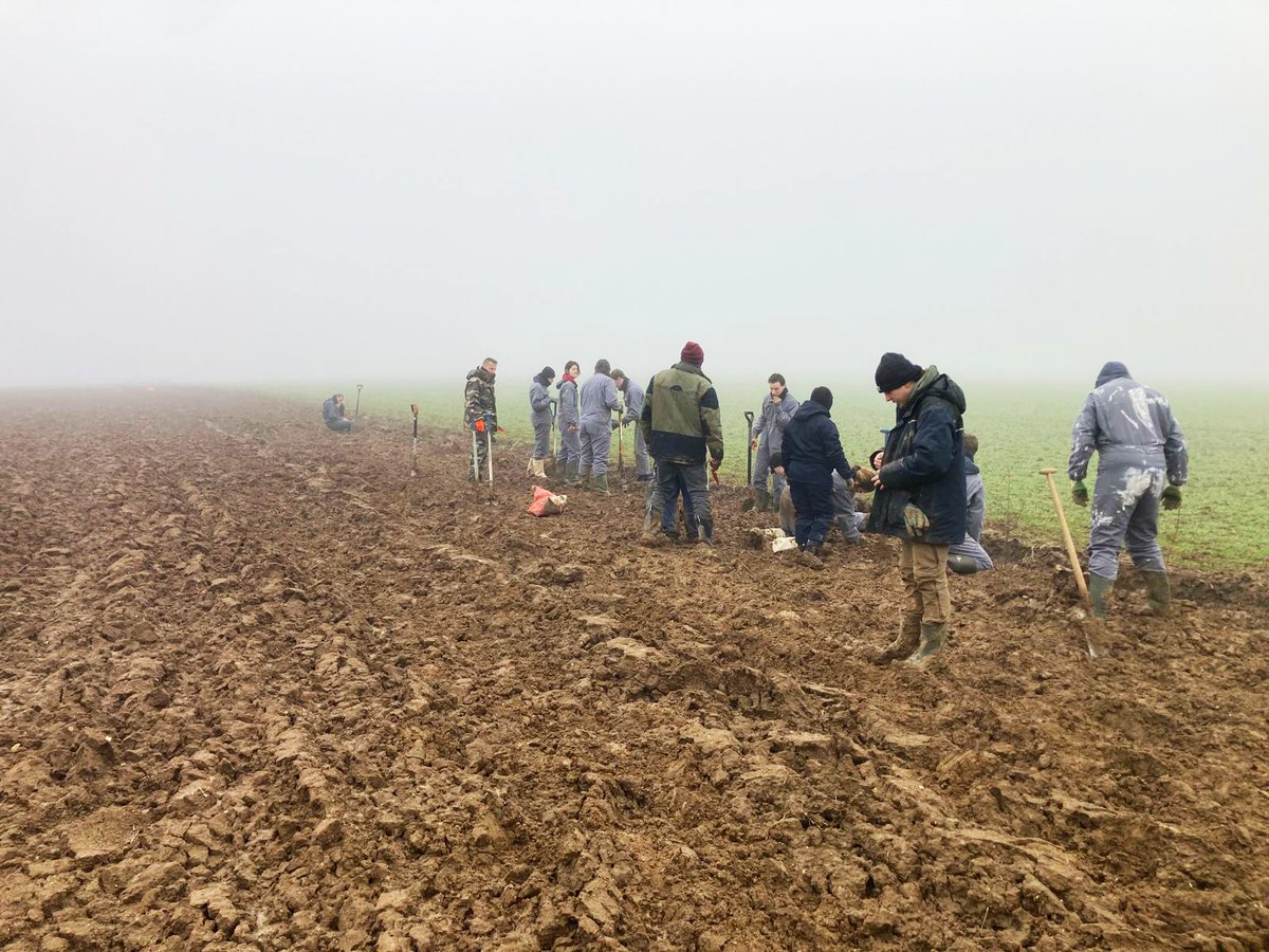 ATerlynck's tweet image. 🚧 Chantier d&apos;insertion en cours 🚧
💚280 mètres linéaires de haies plantés pour préserver la biodiversité, limiter l&apos;érosion de nos sols &amp;amp; stocker du carbone.
🐞🤲🏼 Une belle manière de conjuguer insertion professionnelle, engagement écologique et innovation agricole. 
#durable