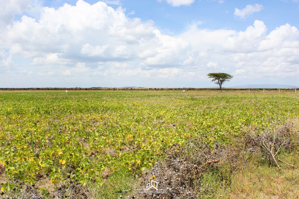 Rehan_lands's tweet photo. KONZA PLAINS II , KSH 400,000
 50 x 100 plots
Water and electricity readily available on-site

Location Highlights:
o2-minute drive to Naiserian Primary School
o500m to Konza SGR Station
o15 km to Mombasa Road
o6km to KCA University
Call 0111 026 600 for more information https://t.co/QFEjHAL2NV