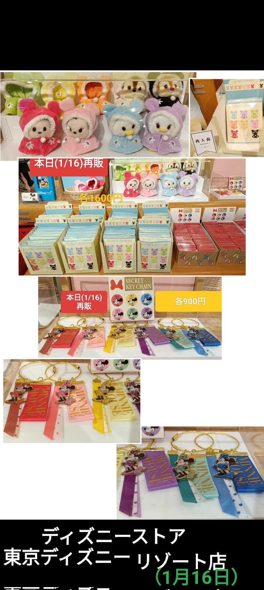 TDR ディズニー ぷらん on X: 