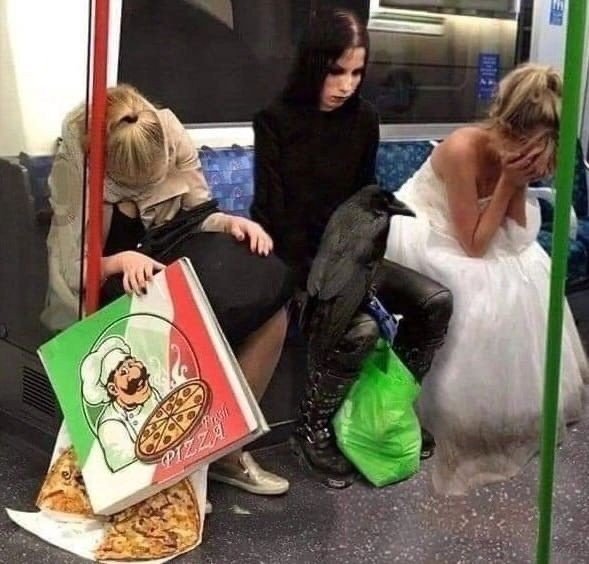 Nadie:

Velo, Radiante y Shallan un martes cualquiera: