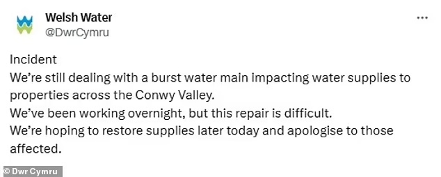 Mario Nawfal tweet media