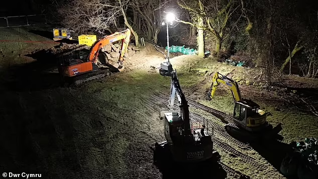 Mario Nawfal tweet media