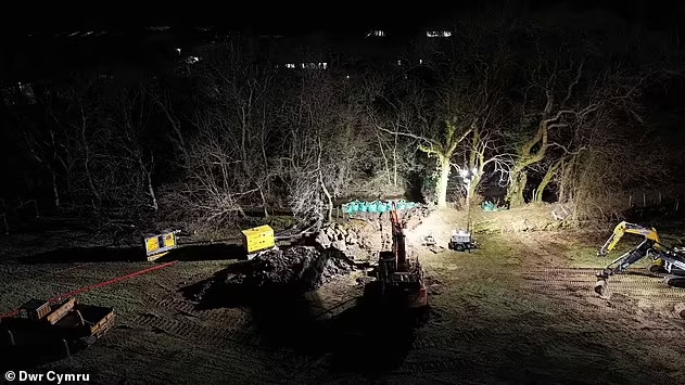 Mario Nawfal tweet media